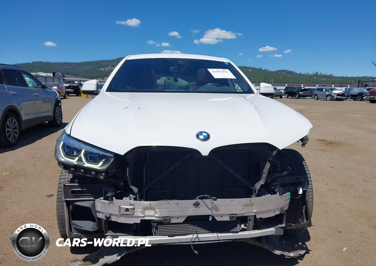 2021 BMW X6 M50I VIN:5UXCY8C02M9D74144 - 12
