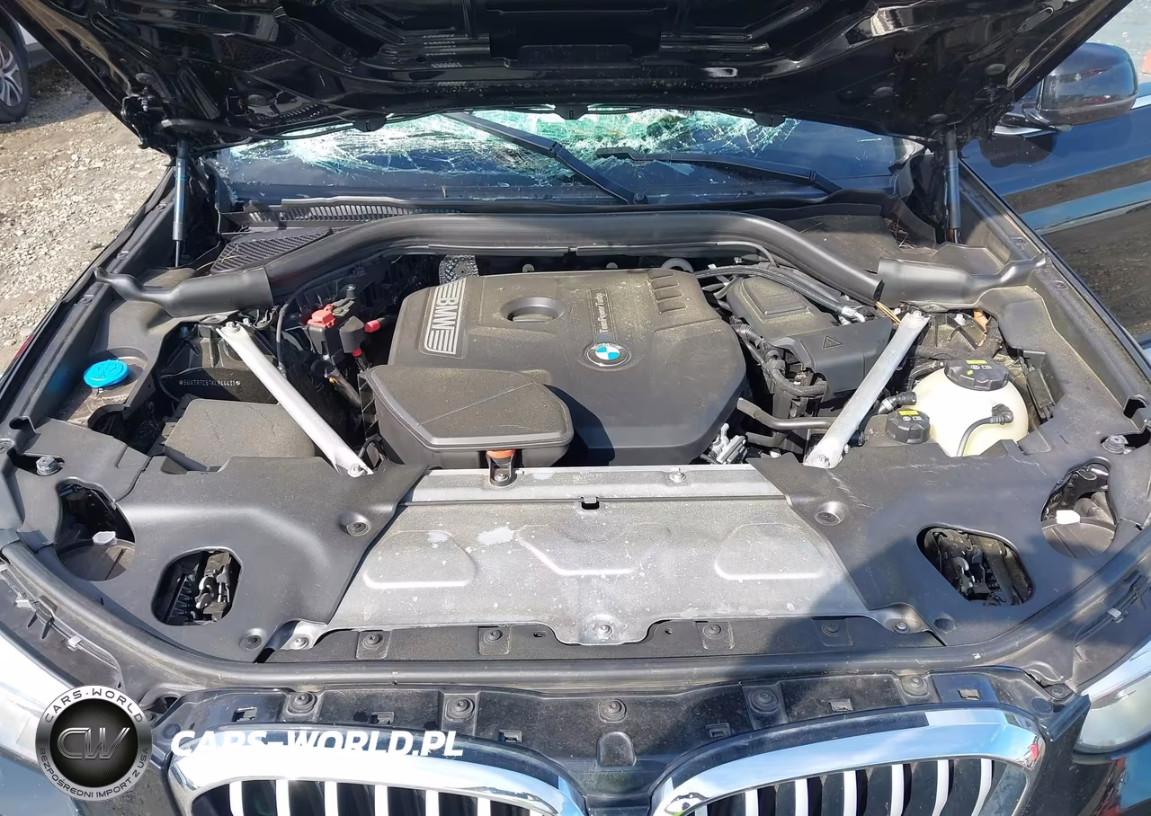 2019 BMW X3 Sdrive30I VIN:5UXTR7C57KLR44431 - 10
