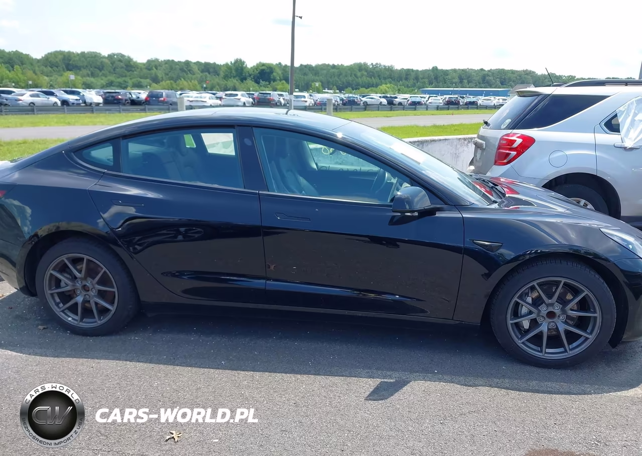 2023 Tesla Model 3 Rear-Wheel Drive VIN:5YJ3E1EA0PF429110 - 12