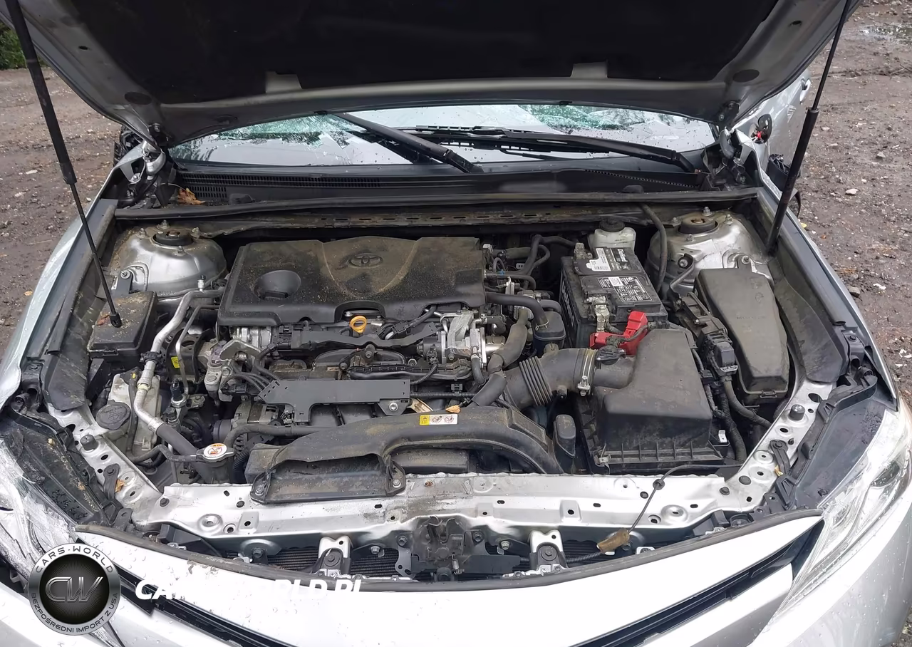 2019 Toyota Camry Xle VIN:4T1B11HK2KU791933 - 10
