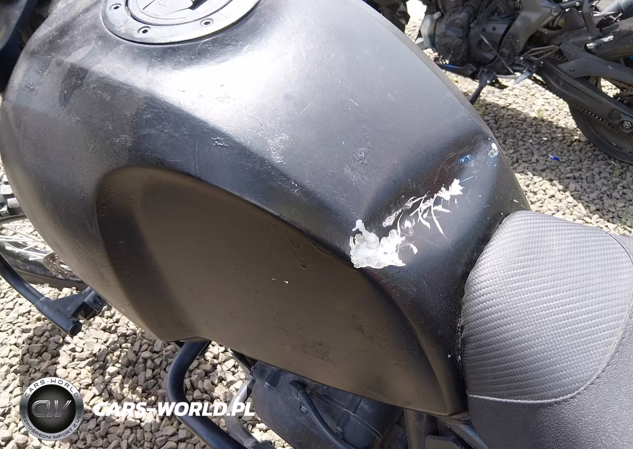 2019 Royal Enfield Motors Himalayan VIN:ME3FSM246KK436170 - 14