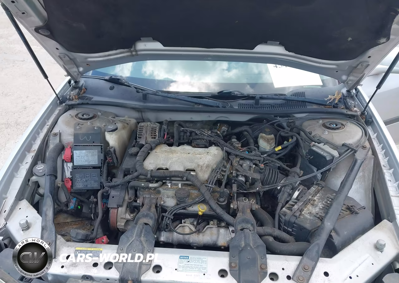2004 Chevrolet Impala VIN:2G1WF52E149231928 - 10