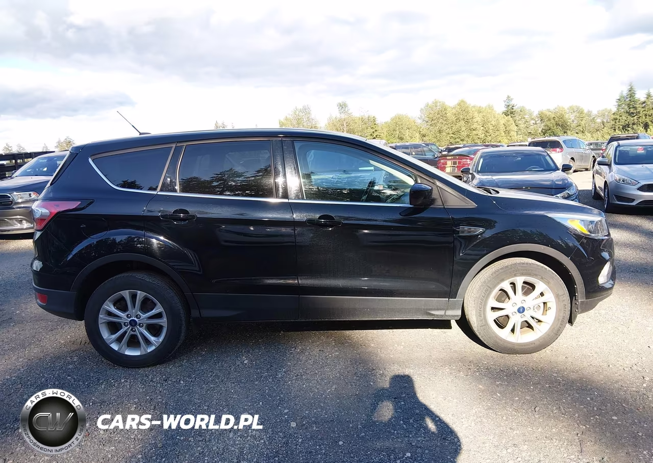 2017 Ford Escape Se VIN:1FMCU9GD1HUE50335 - 13