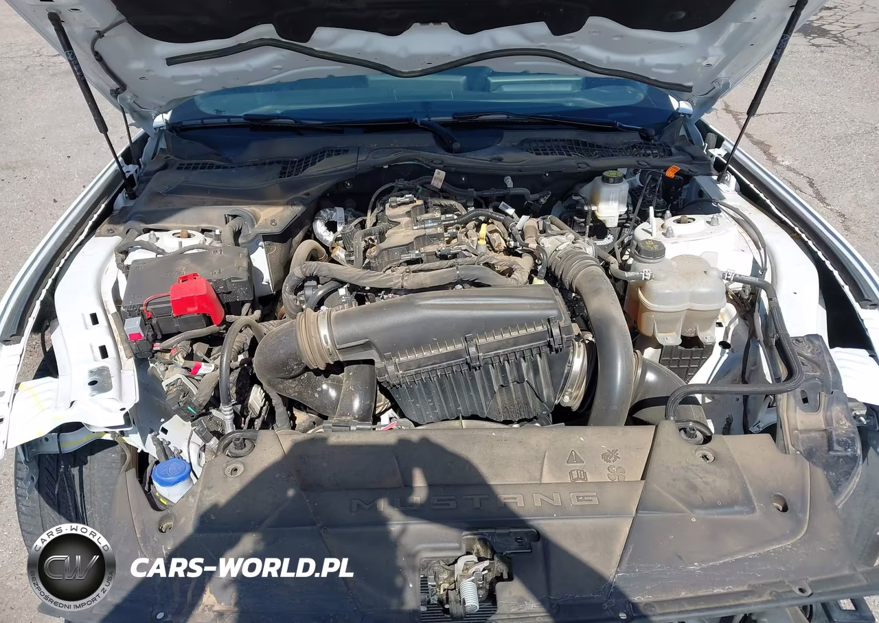 2025 Ford Mustang Ecoboost Fastback VIN:1FA6P8TH4S5116920 - 10