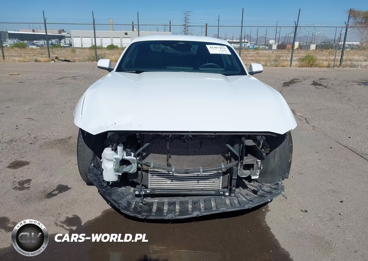 2025 Ford Mustang Ecoboost Fastback VIN:1FA6P8TH4S5116920 - 13