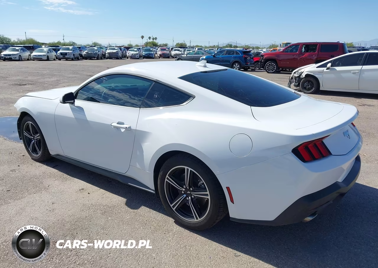 2025 Ford Mustang Ecoboost Fastback VIN:1FA6P8TH4S5116920 - 3
