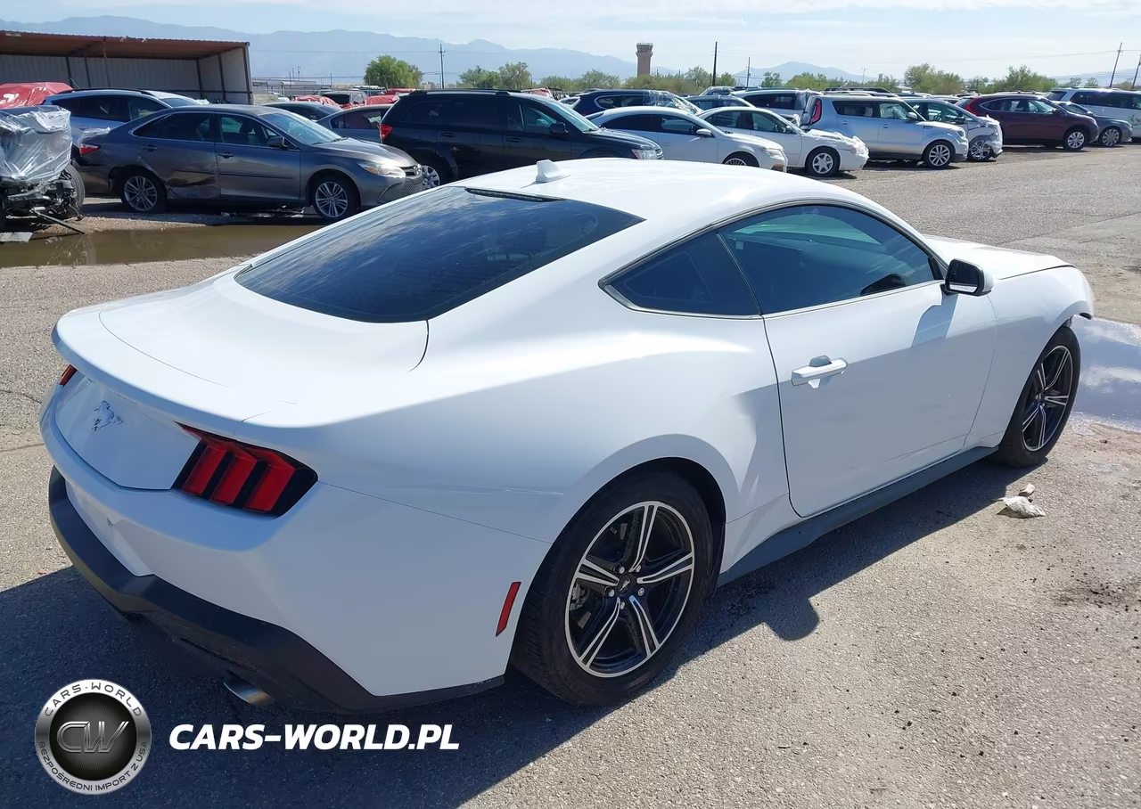 2025 Ford Mustang Ecoboost Fastback VIN:1FA6P8TH4S5116920 - 4
