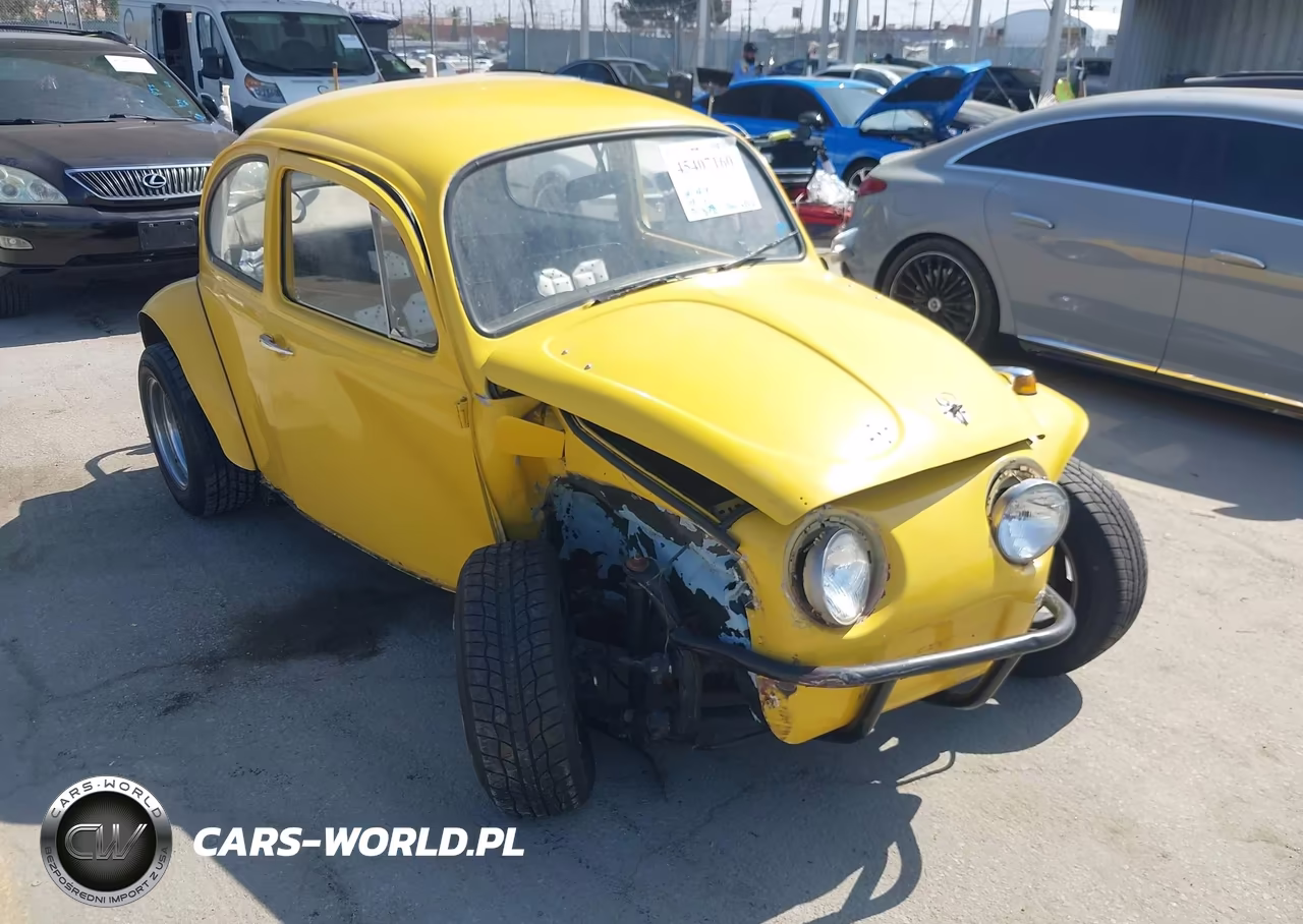 1969 Volkswagen Beetle