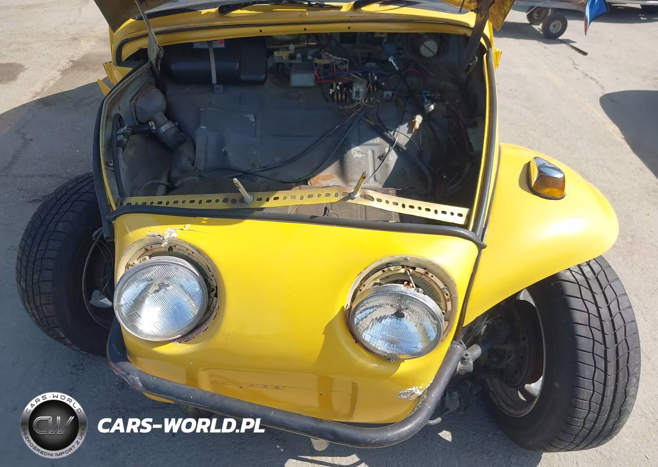 1969 Volkswagen Beetle VIN:118084031 - 10