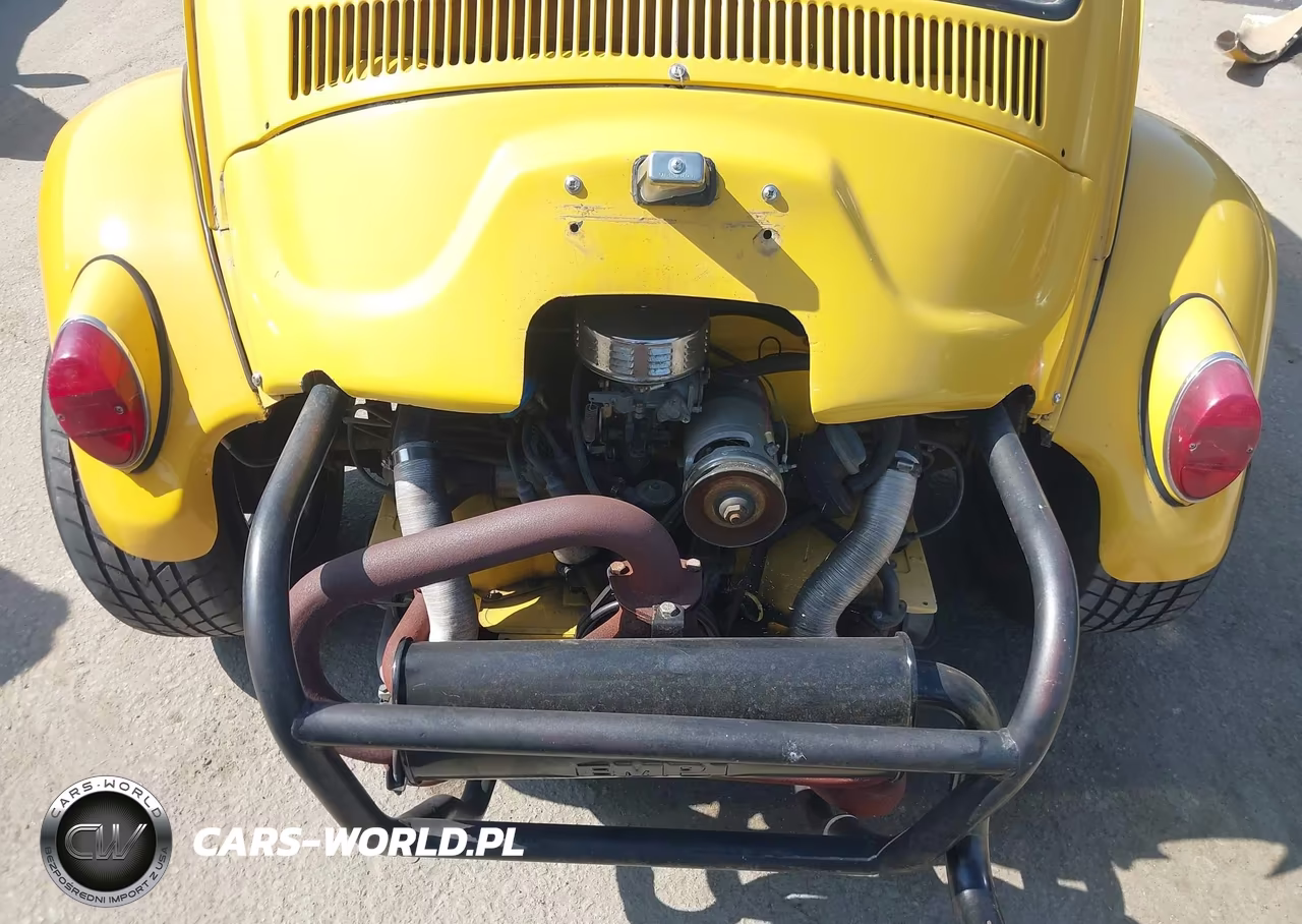 1969 Volkswagen Beetle VIN:118084031 - 16