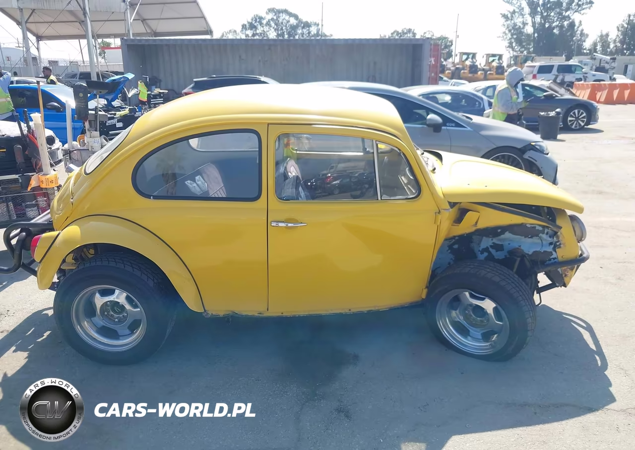 1969 Volkswagen Beetle VIN:118084031 - 18