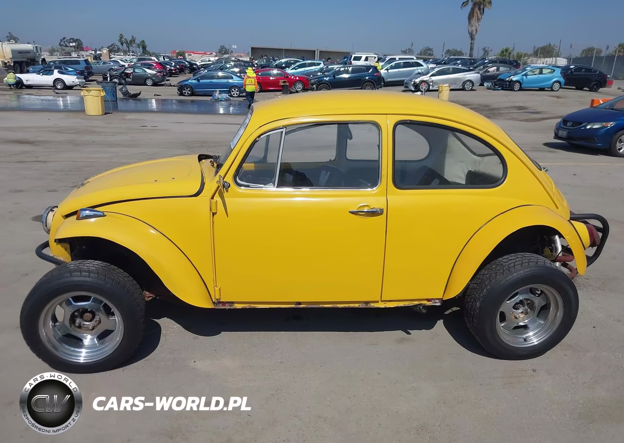 1969 Volkswagen Beetle VIN:118084031 - 19