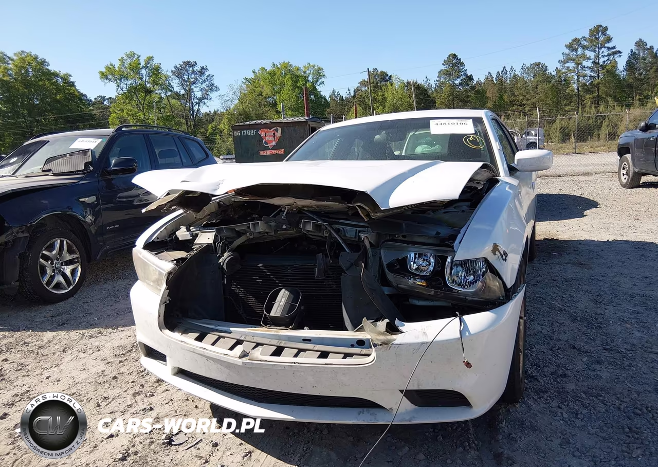 2013 Dodge Charger Police VIN:2C3CDXAG4DH661378 - 12