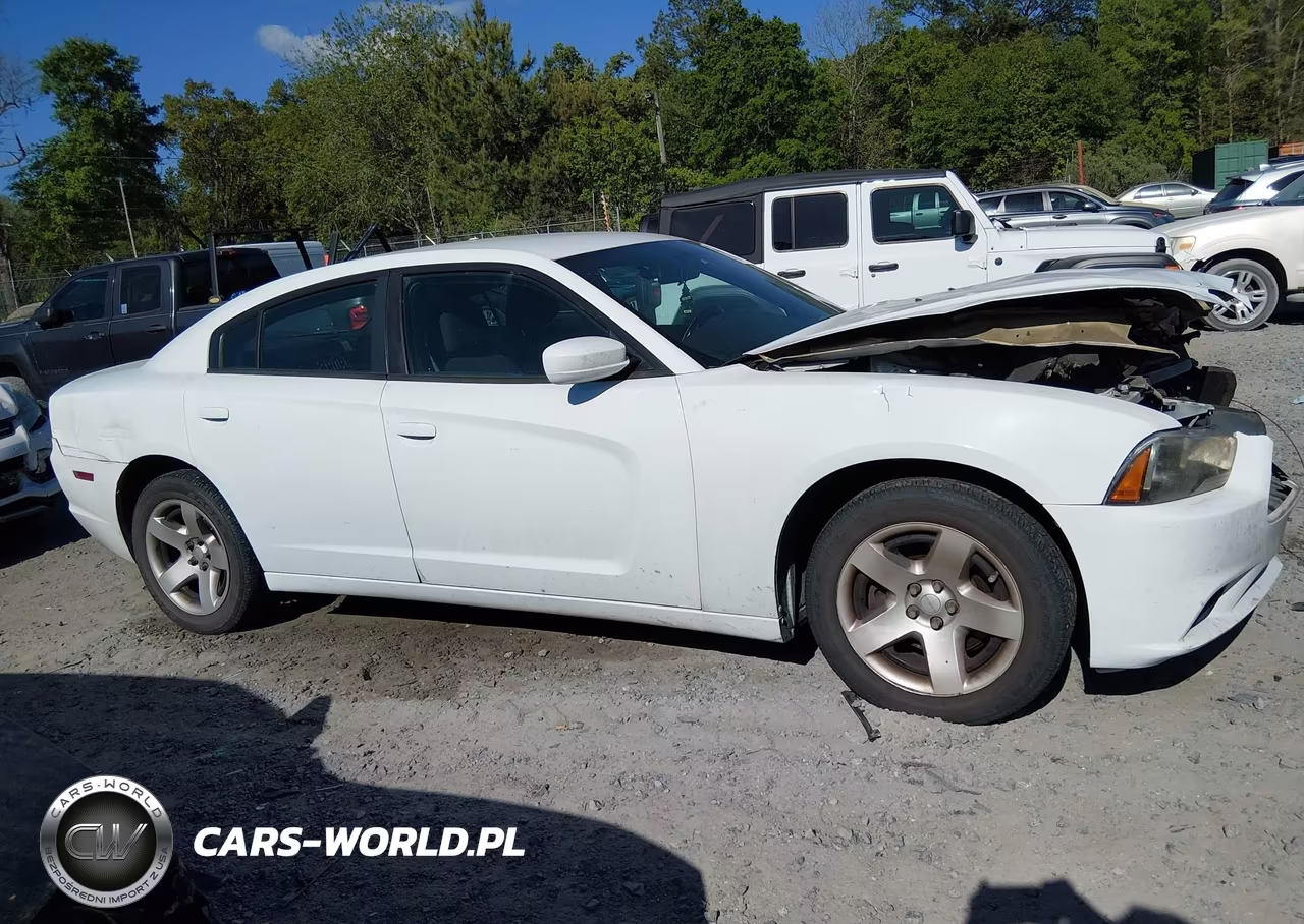 2013 Dodge Charger Police VIN:2C3CDXAG4DH661378 - 13