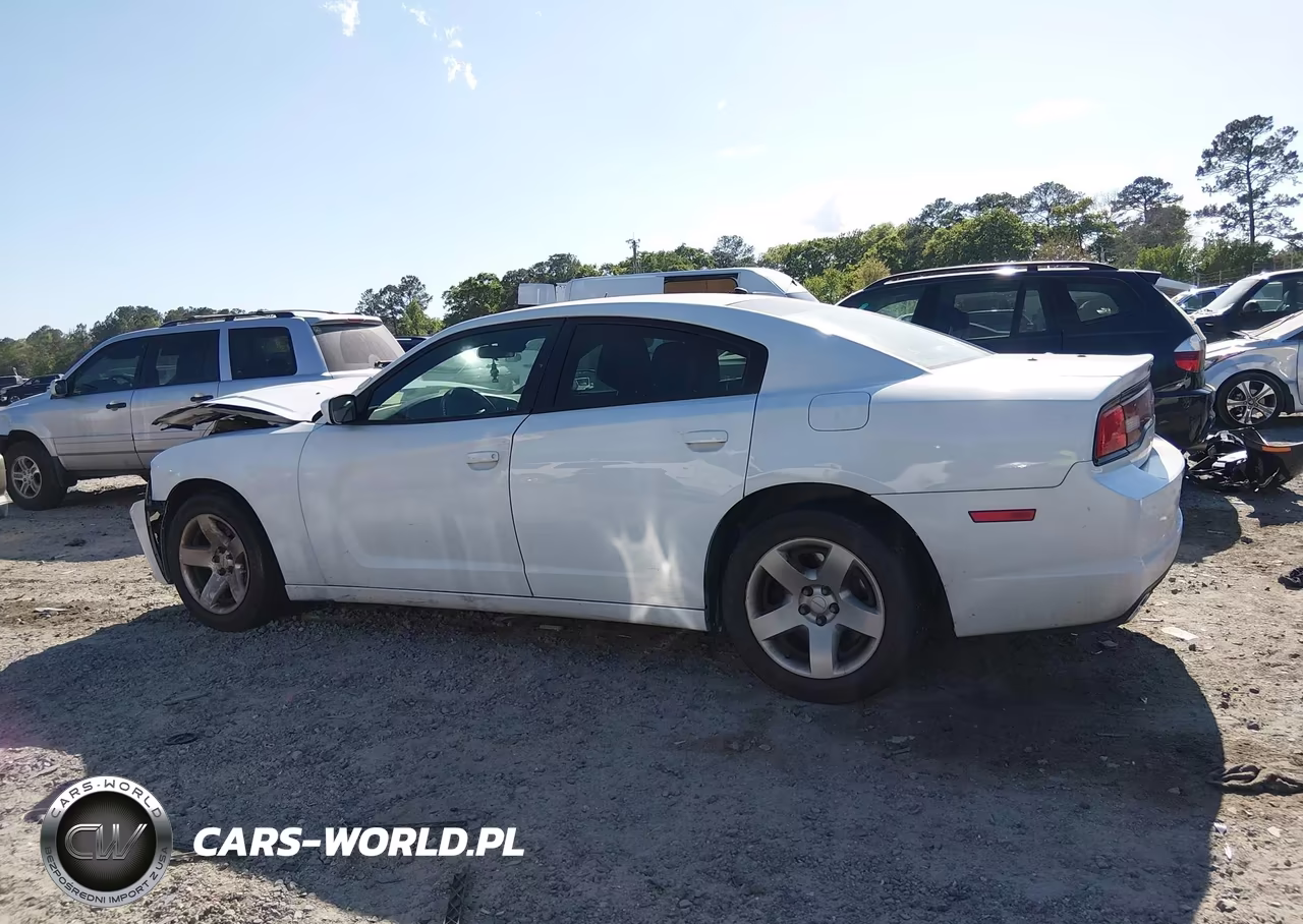 2013 Dodge Charger Police VIN:2C3CDXAG4DH661378 - 14