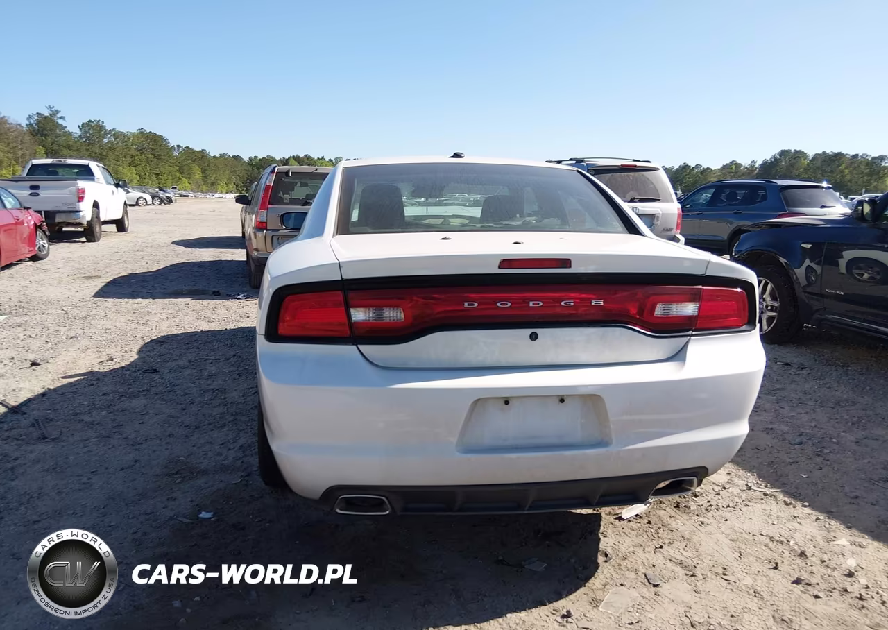 2013 Dodge Charger Police VIN:2C3CDXAG4DH661378 - 16