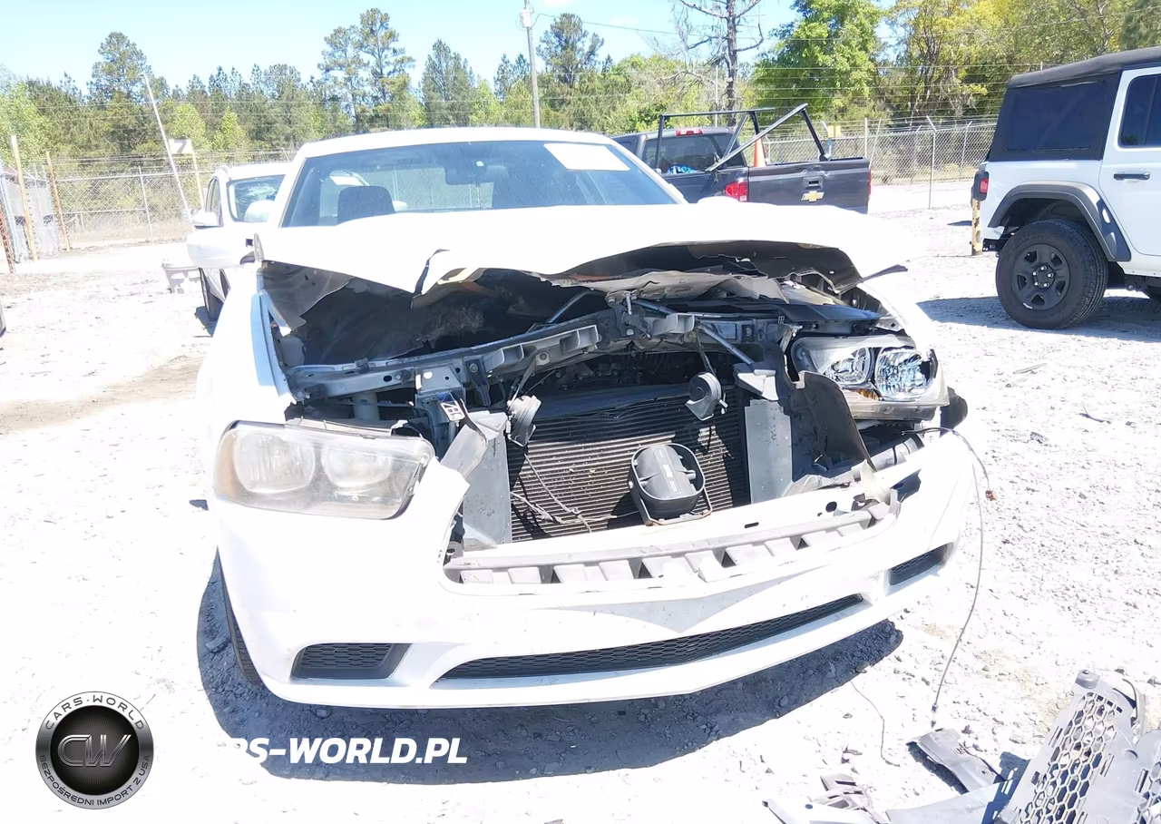2013 Dodge Charger Police VIN:2C3CDXAG4DH661378 - 17