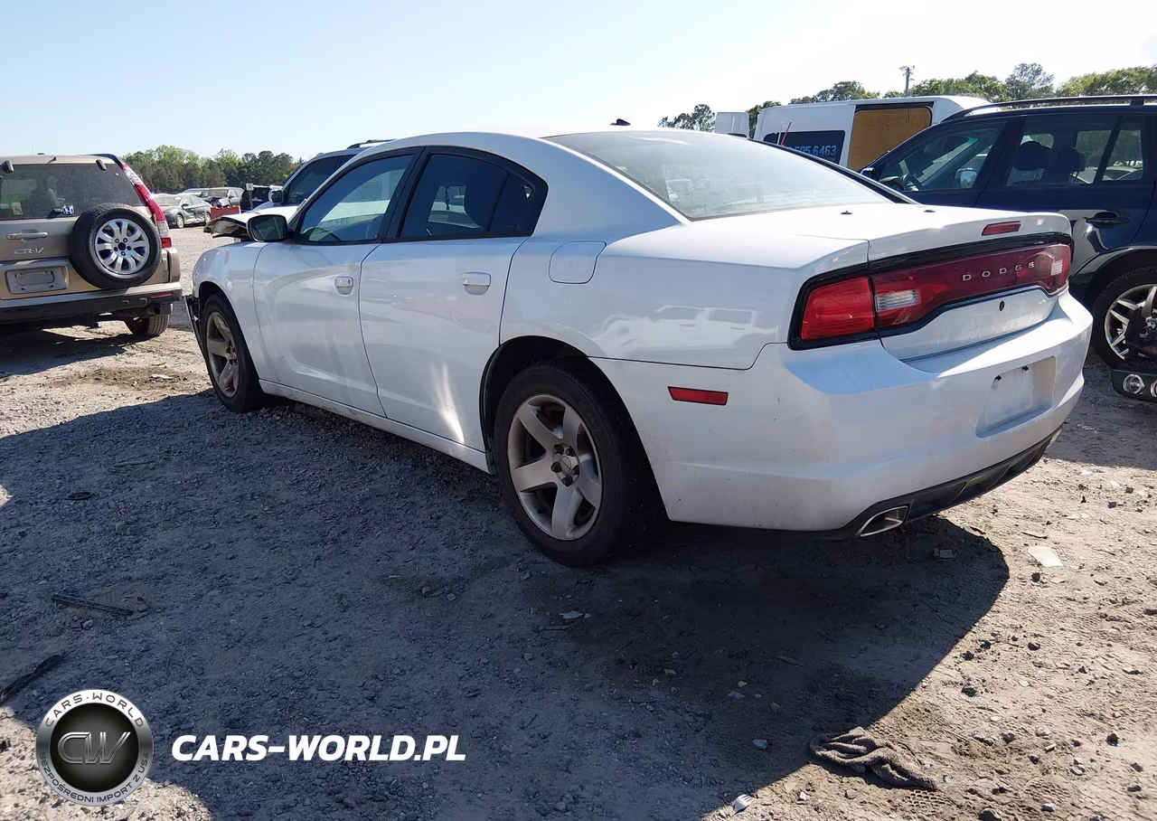 2013 Dodge Charger Police VIN:2C3CDXAG4DH661378 - 3