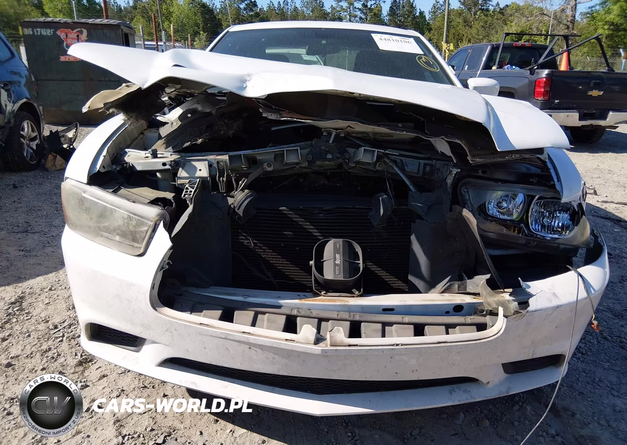 2013 Dodge Charger Police VIN:2C3CDXAG4DH661378 - 6