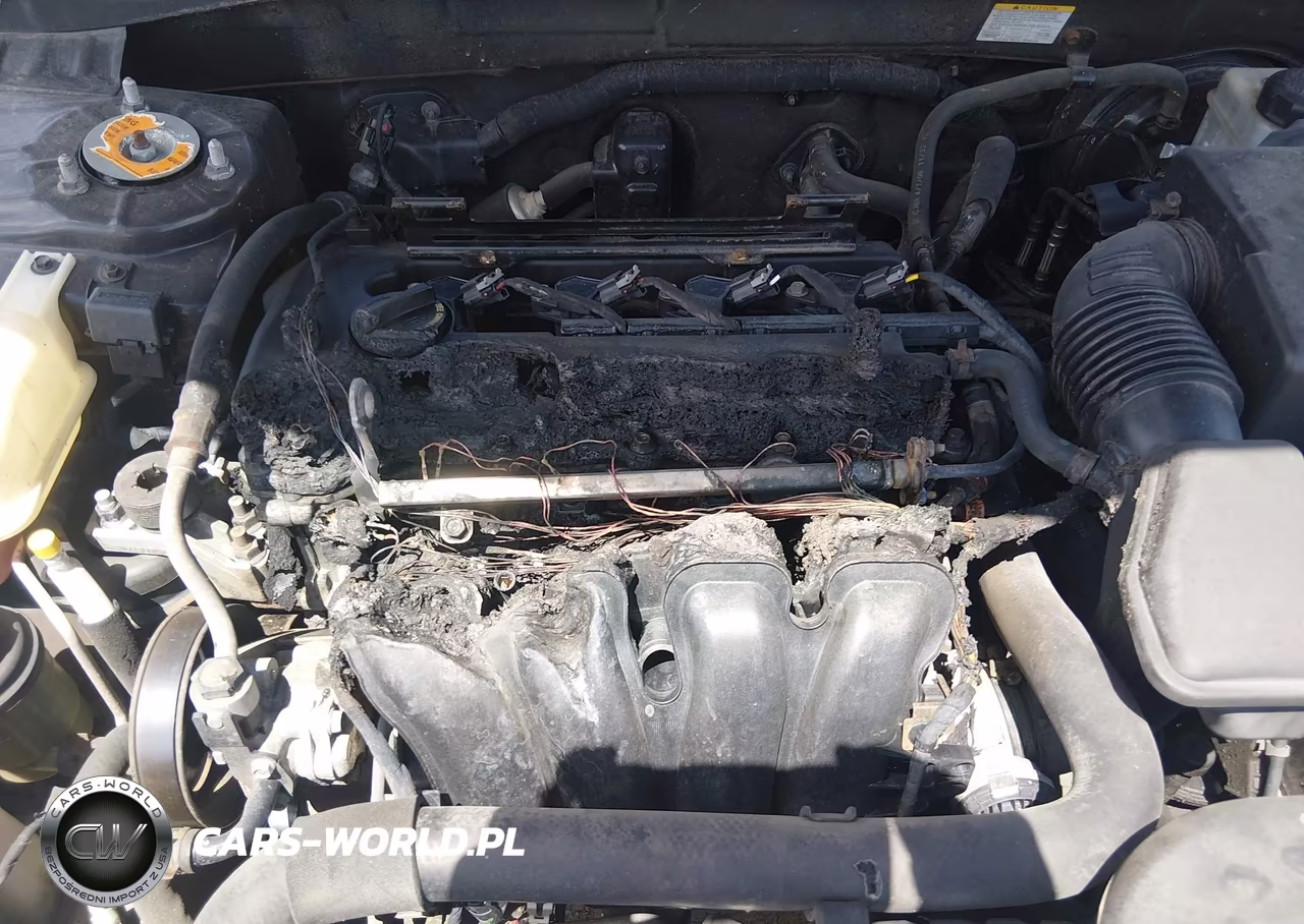 2009 Hyundai Sonata Limited VIN:5NPEU46C69H482783 - 6