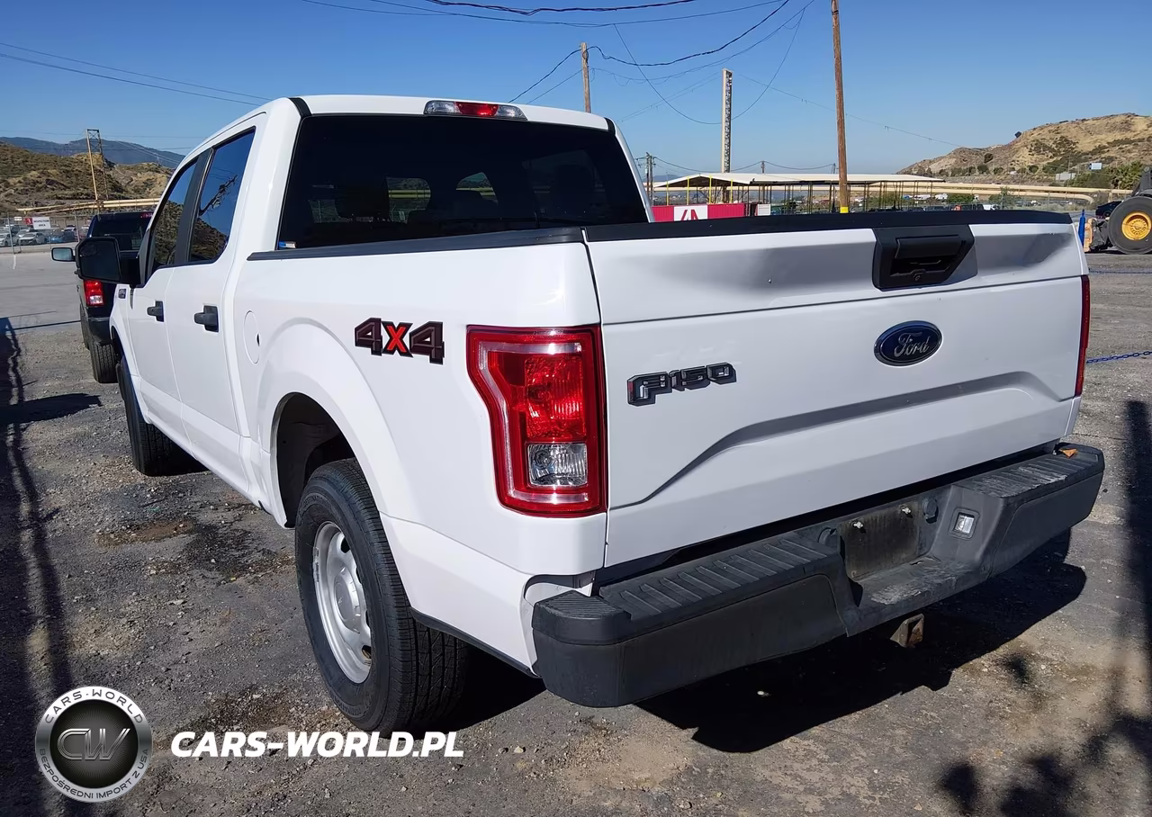 2017 Ford F-150 Xl-Xlt VIN:1FTEW1E85HKD49700 - 3