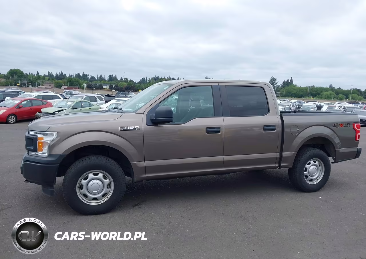 2018 Ford F-150 Xl VIN:1FTEW1EB8JFD04972 - 13