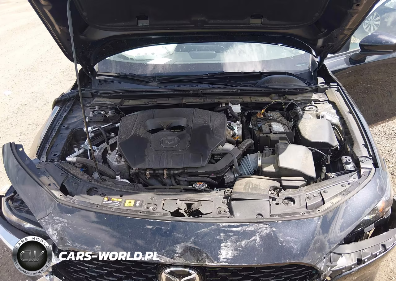 2025 Mazda Mazda3 VIN:3MZBPACM0SM451399 - 10