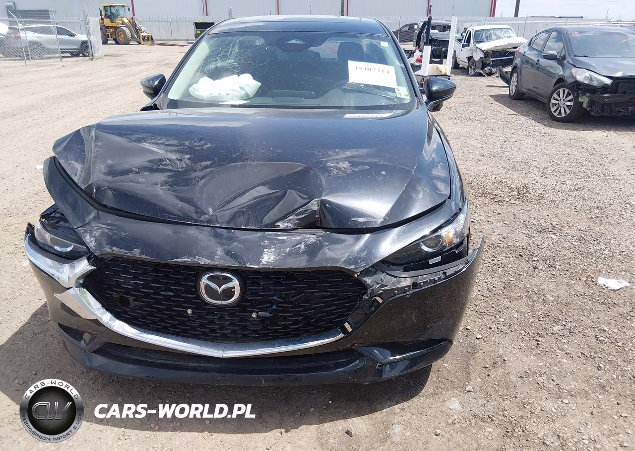 2025 Mazda Mazda3 VIN:3MZBPACM0SM451399 - 13