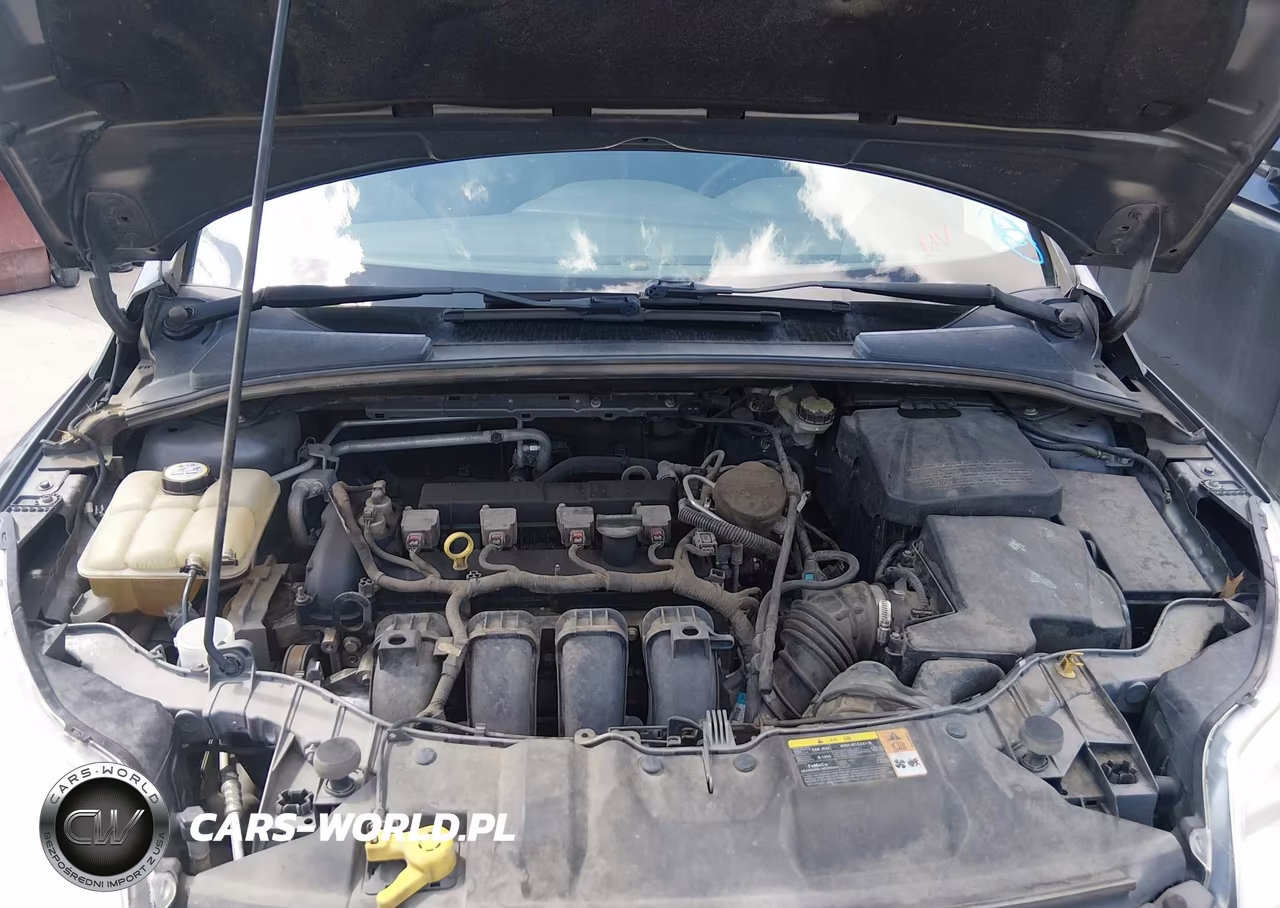 2014 Ford Focus Se VIN:1FADP3F25EL111114 - 10
