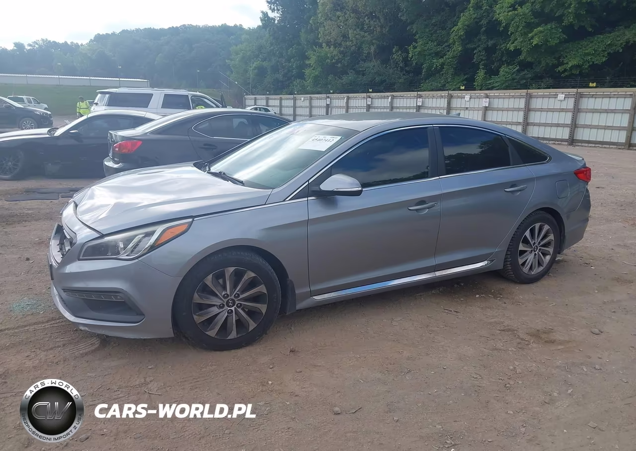 2015 Hyundai Sonata Sport VIN:5NPE34AF7FH246238 - 2