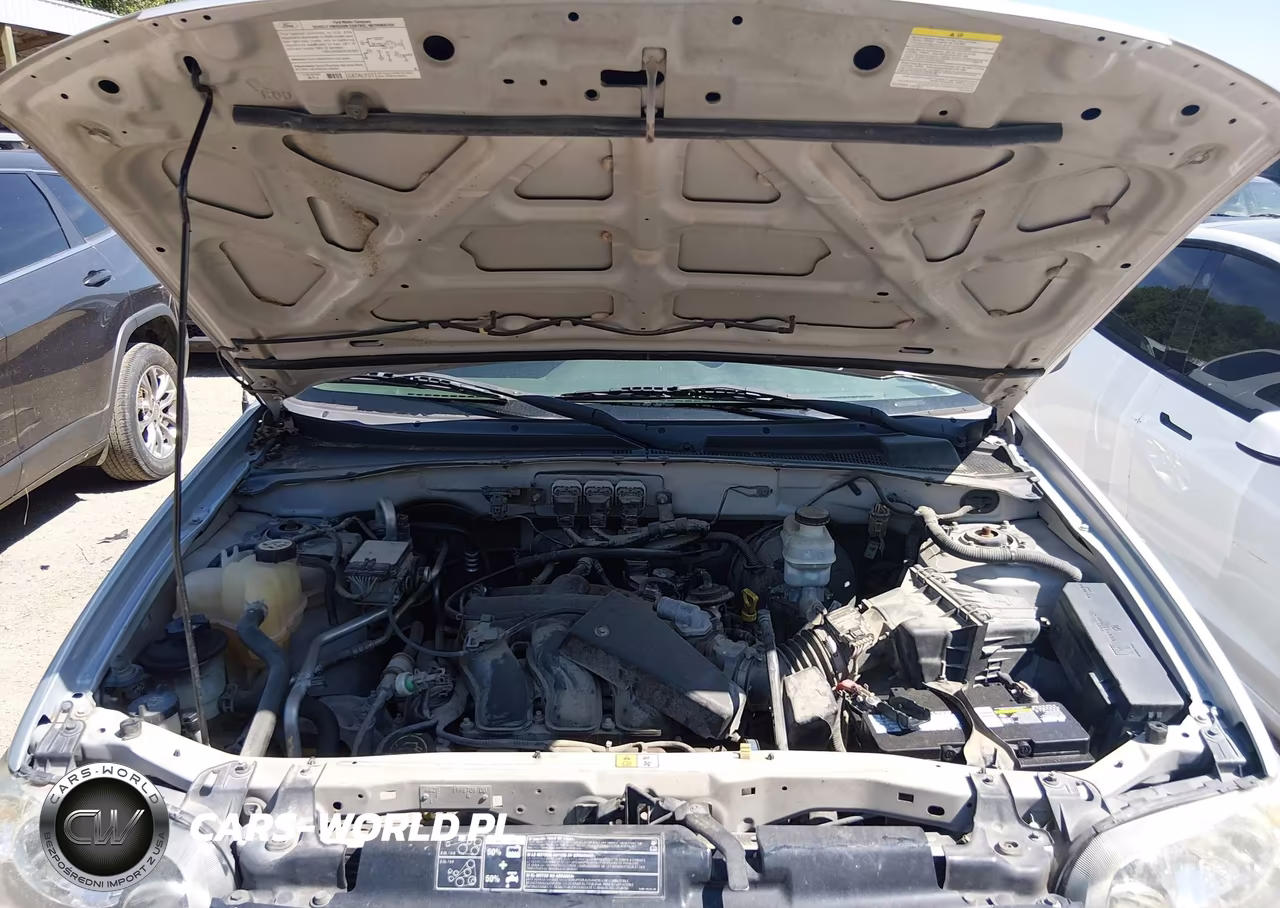 2005 Ford Escape Xlt VIN:1FMYU931X5KD62215 - 10