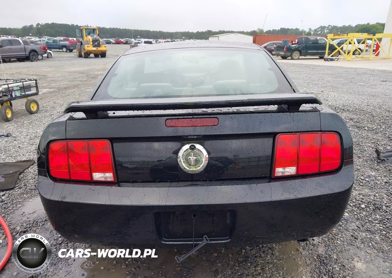 2007 Ford Mustang V6 Deluxe-V6 Premium VIN:1ZVFT80N375310293 - 17