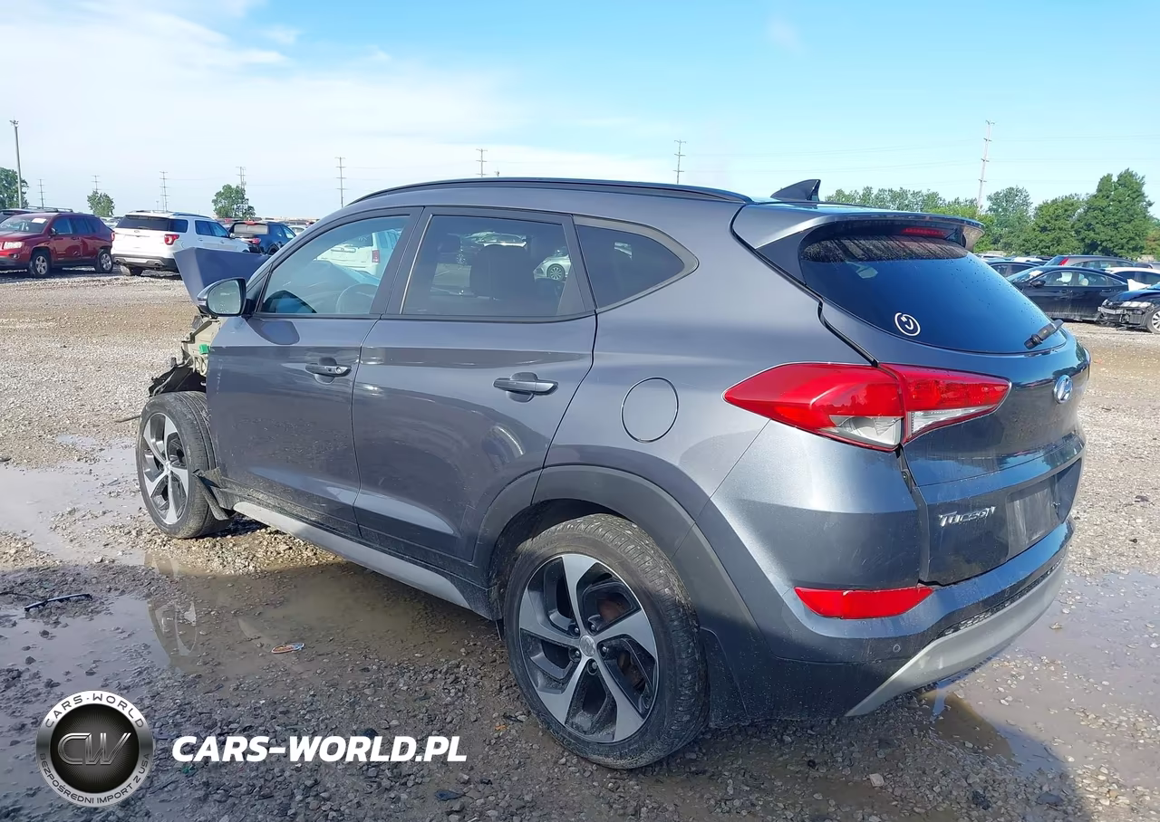 2018 Hyundai Tucson Value VIN:KM8J3CA24JU754750 - 3