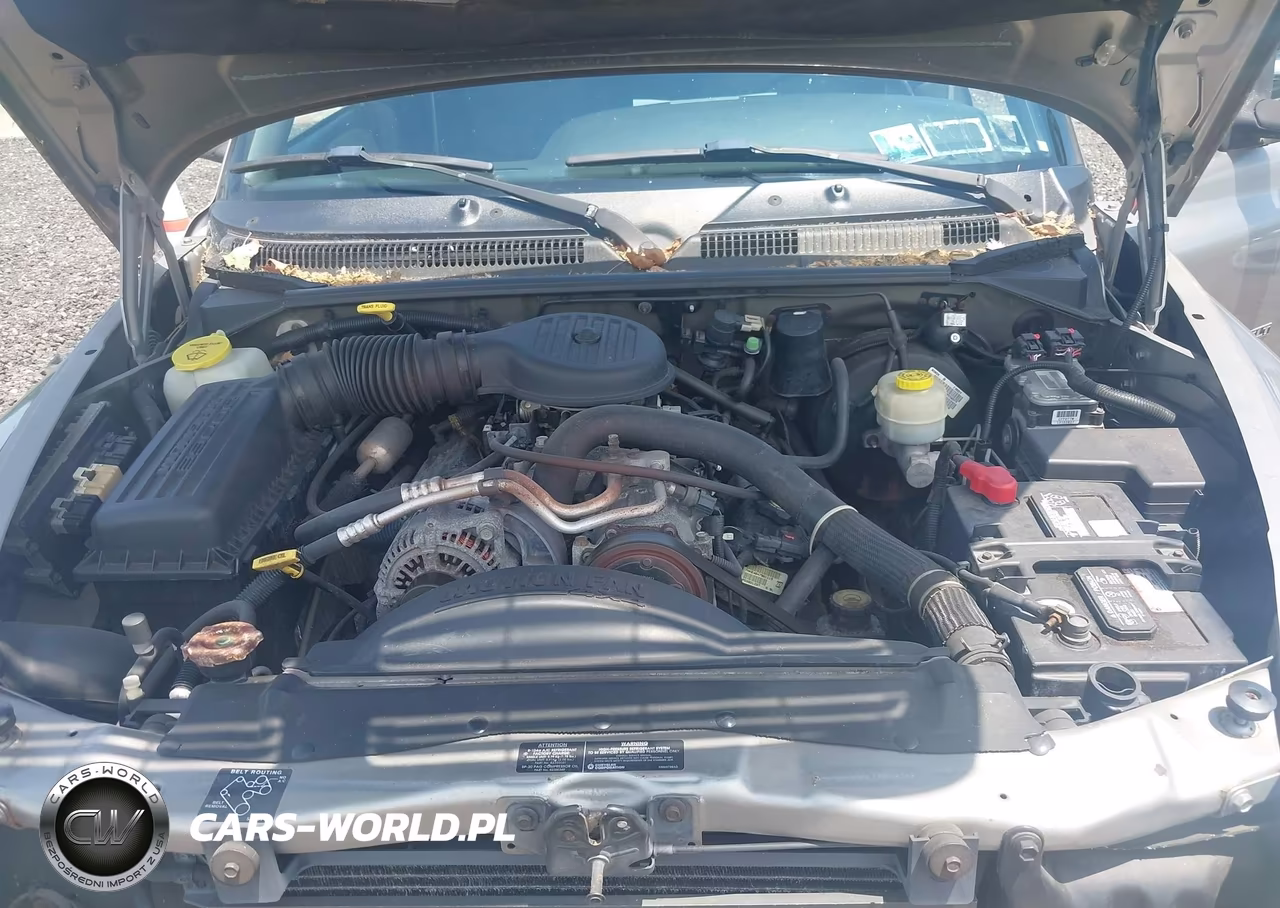 1999 Dodge Durango VIN:1B4HS28Z4XF653060 - 10