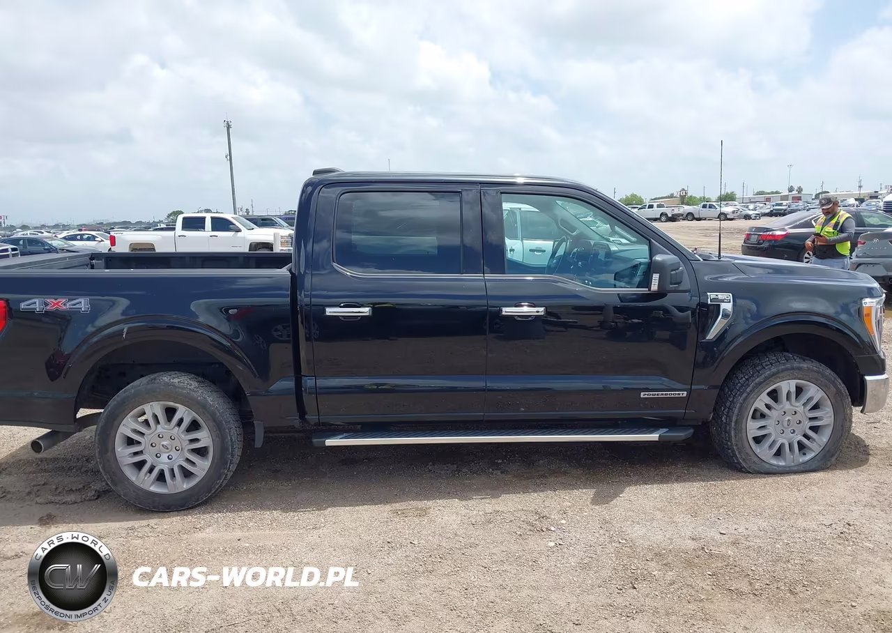 2023 Ford F-150 King Ranch-Lariat-Limited-Platinum-Xl-Xlt VIN:1FTFW1ED0PFC25696 - 13
