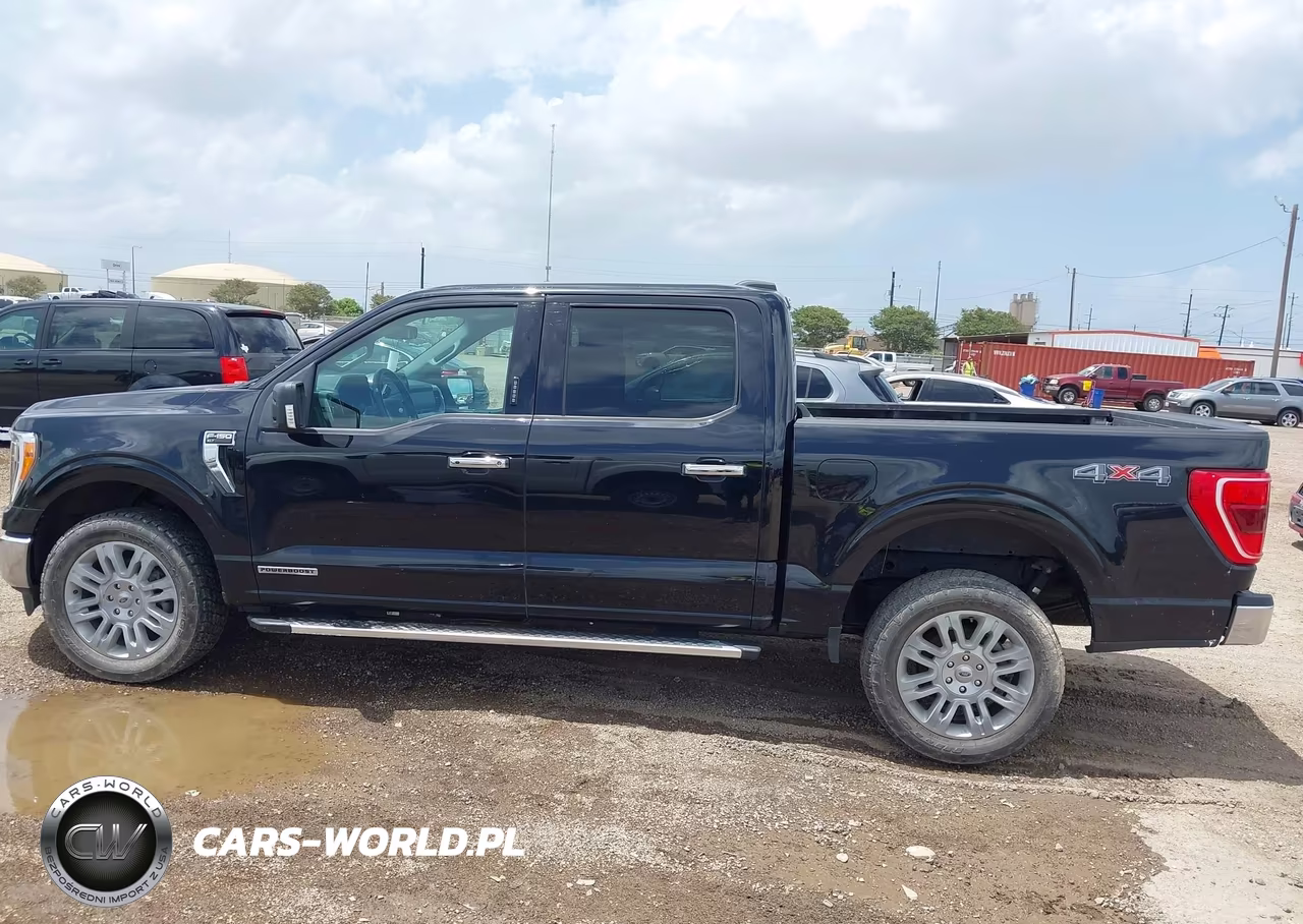 2023 Ford F-150 King Ranch-Lariat-Limited-Platinum-Xl-Xlt VIN:1FTFW1ED0PFC25696 - 14