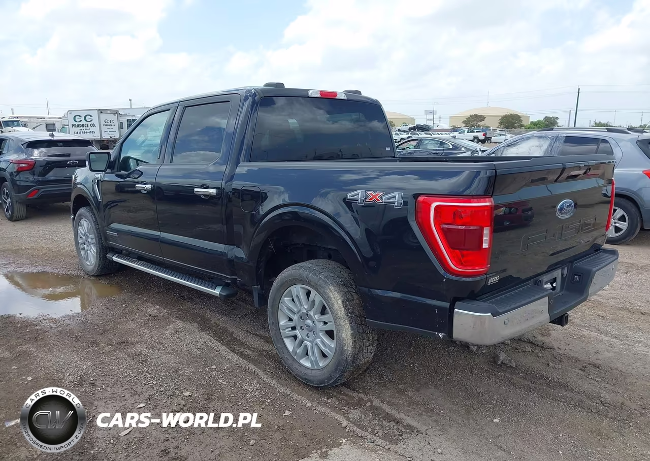 2023 Ford F-150 King Ranch-Lariat-Limited-Platinum-Xl-Xlt VIN:1FTFW1ED0PFC25696 - 3