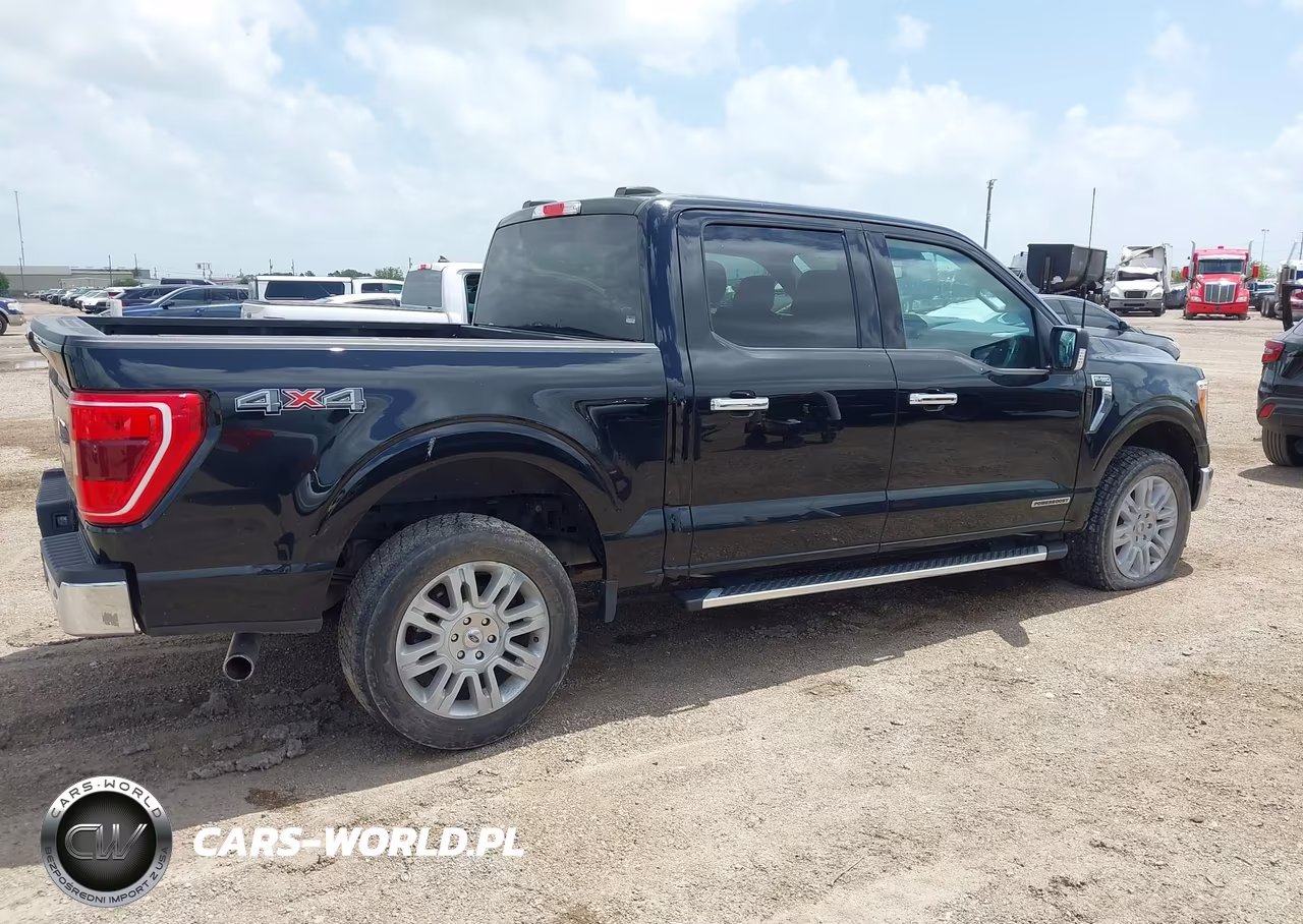 2023 Ford F-150 King Ranch-Lariat-Limited-Platinum-Xl-Xlt VIN:1FTFW1ED0PFC25696 - 4