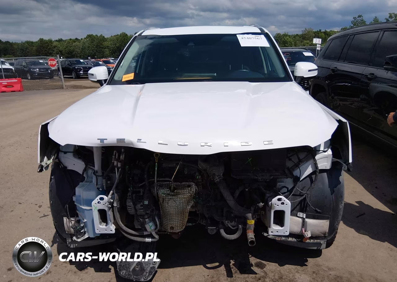 2022 Kia Telluride S VIN:5XYP6DHC5NG294208 - 13