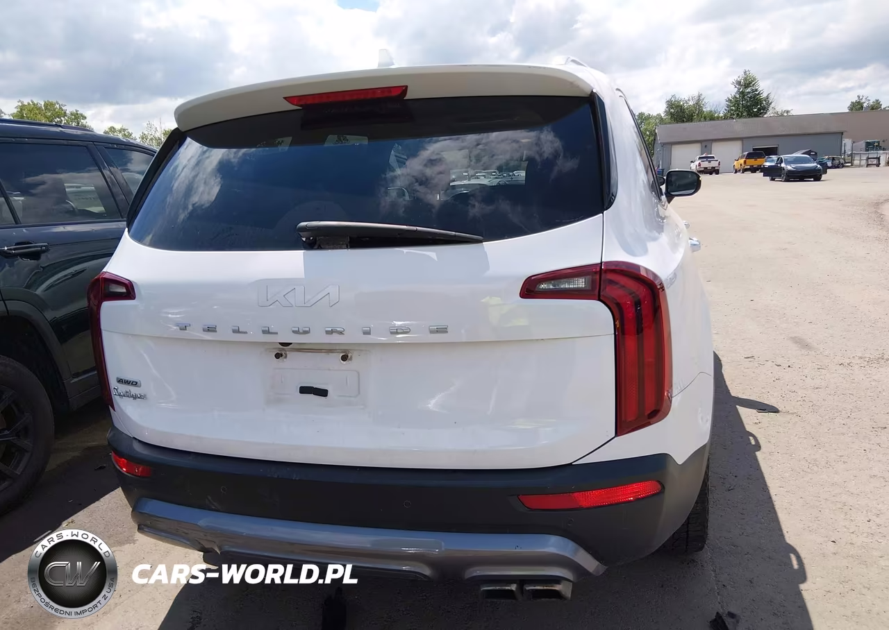 2022 Kia Telluride S VIN:5XYP6DHC5NG294208 - 17