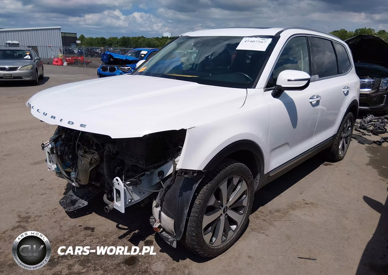 2022 Kia Telluride S VIN:5XYP6DHC5NG294208 - 2