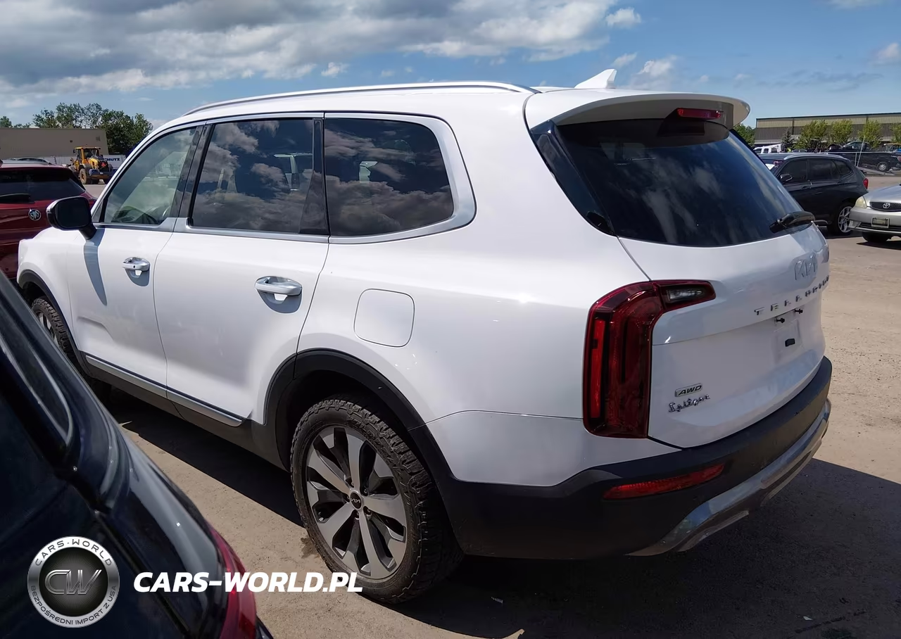 2022 Kia Telluride S VIN:5XYP6DHC5NG294208 - 3