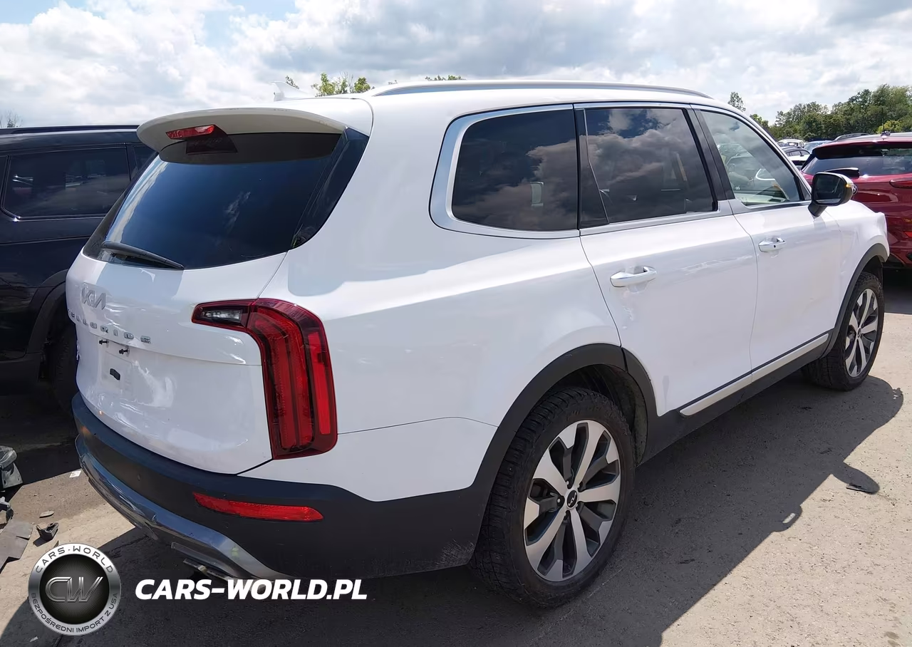 2022 Kia Telluride S VIN:5XYP6DHC5NG294208 - 4