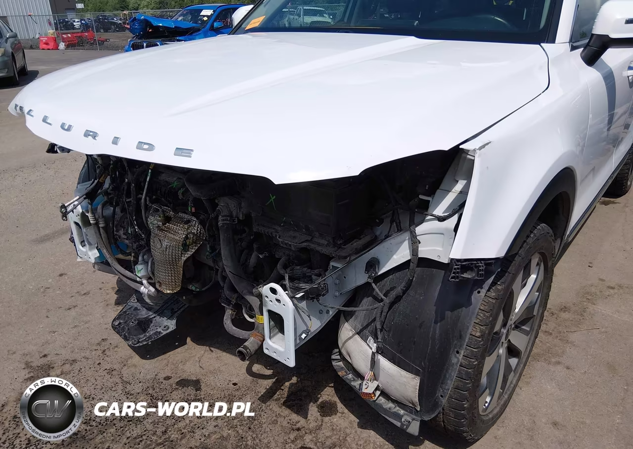 2022 Kia Telluride S VIN:5XYP6DHC5NG294208 - 6