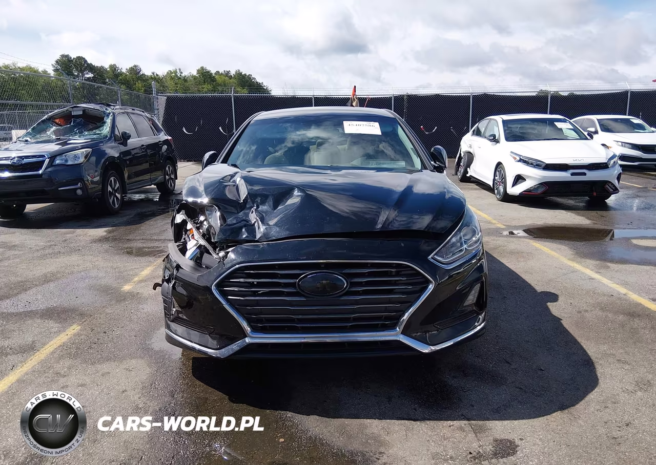 2019 Hyundai Sonata Se VIN:5NPE24AF8KH806488 - 12