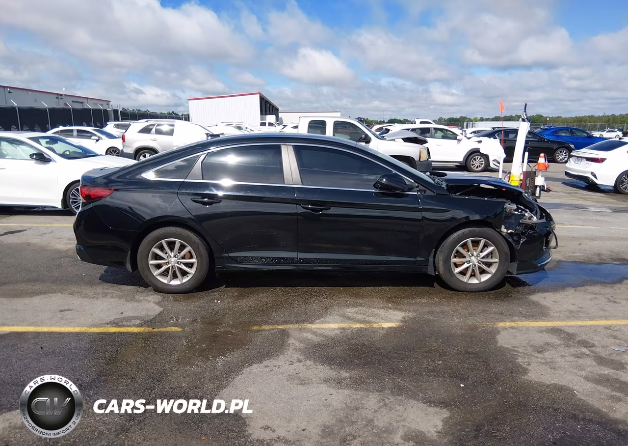 2019 Hyundai Sonata Se VIN:5NPE24AF8KH806488 - 13