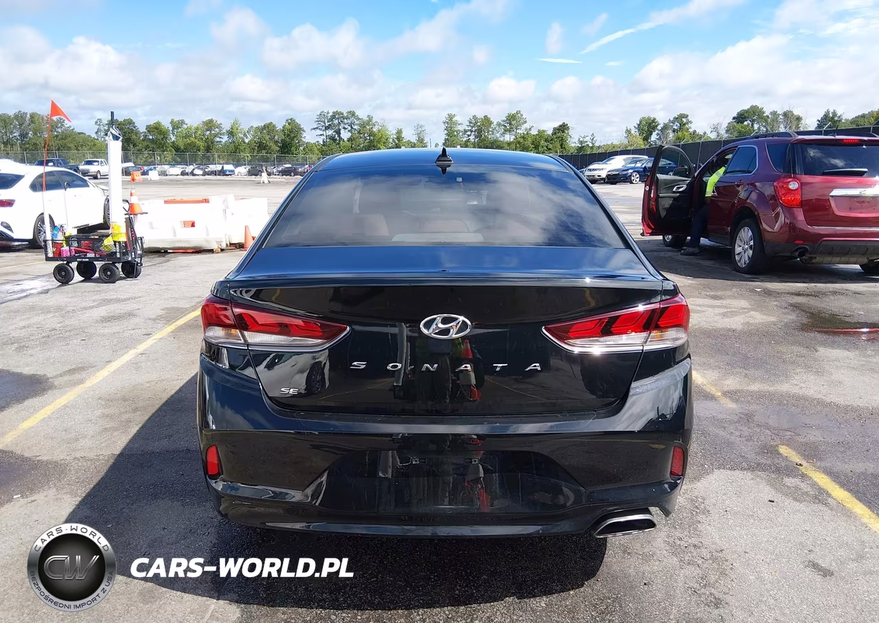 2019 Hyundai Sonata Se VIN:5NPE24AF8KH806488 - 16