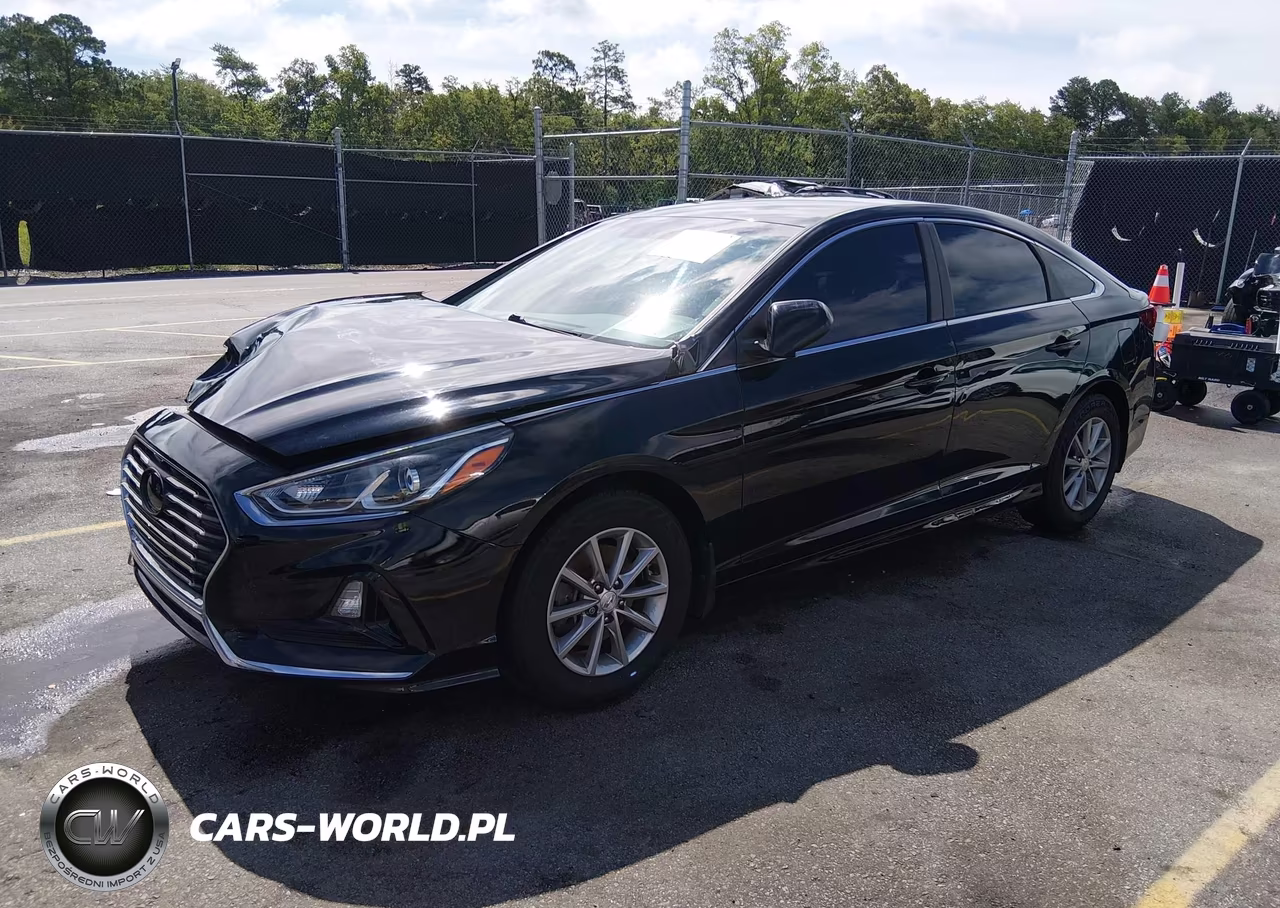 2019 Hyundai Sonata Se VIN:5NPE24AF8KH806488 - 2