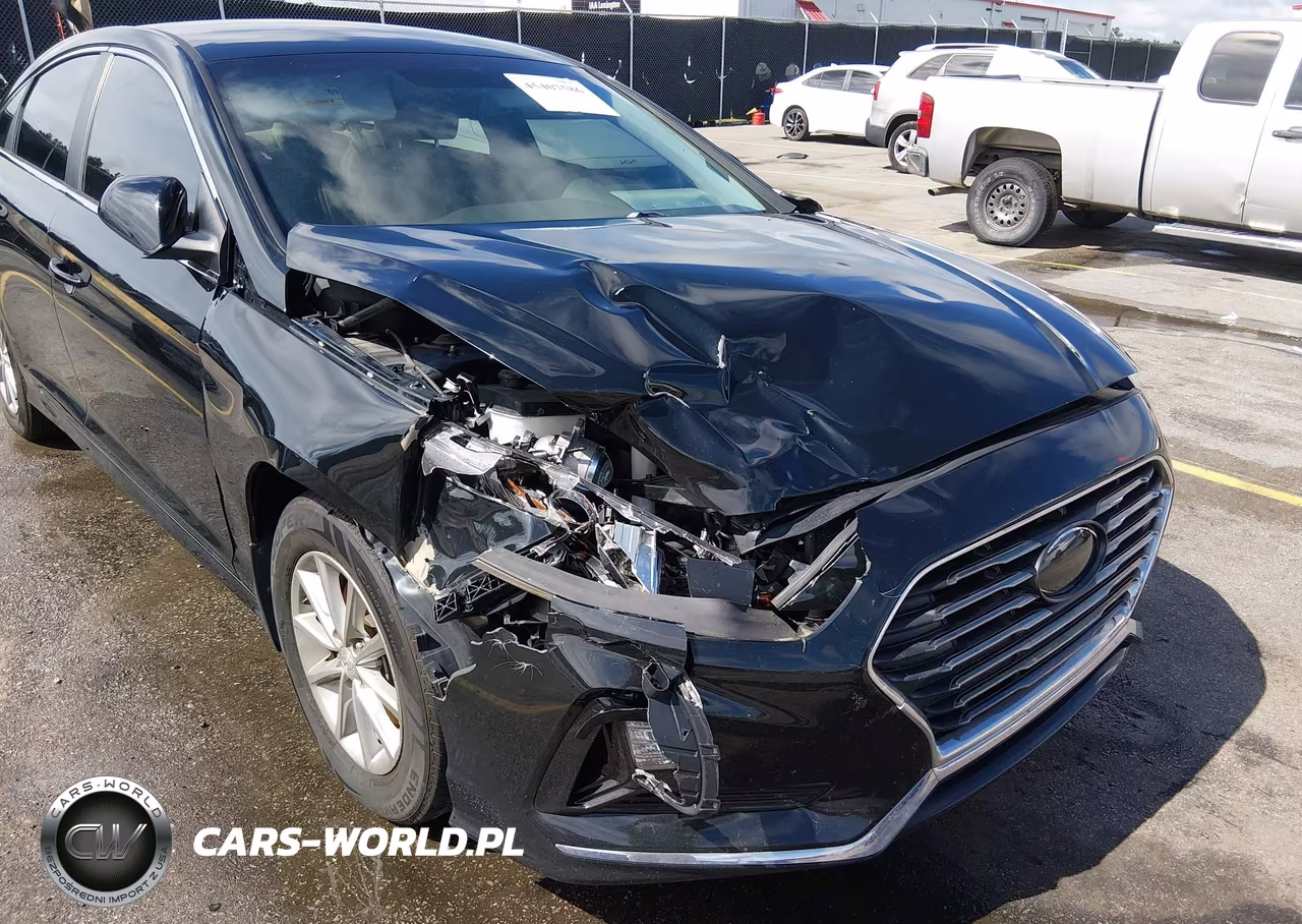 2019 Hyundai Sonata Se VIN:5NPE24AF8KH806488 - 6