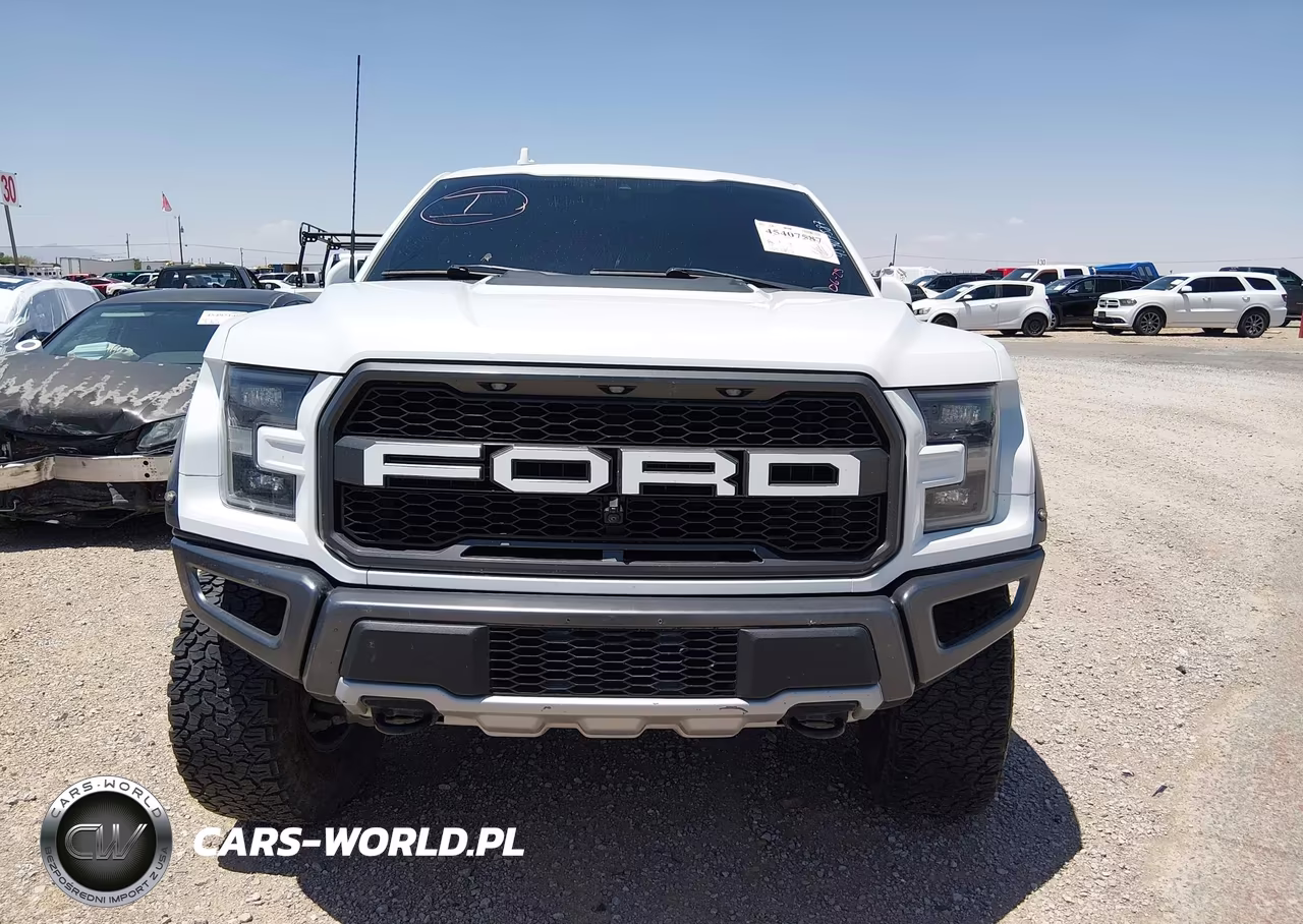 2020 Ford F-150 Raptor VIN:1FTFW1RG5LFA13164 - 12